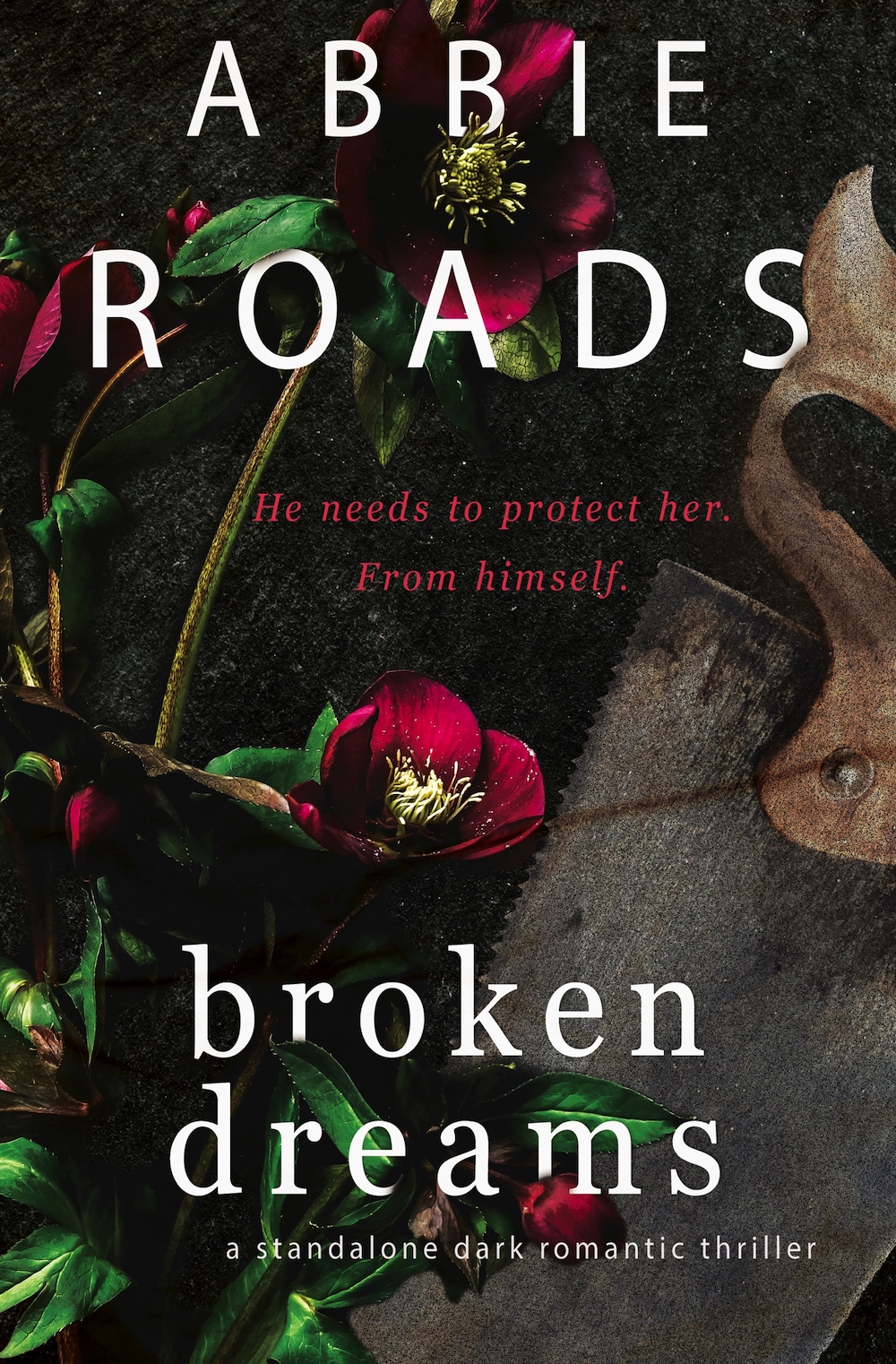 Broken Dreams by Abbie Roads